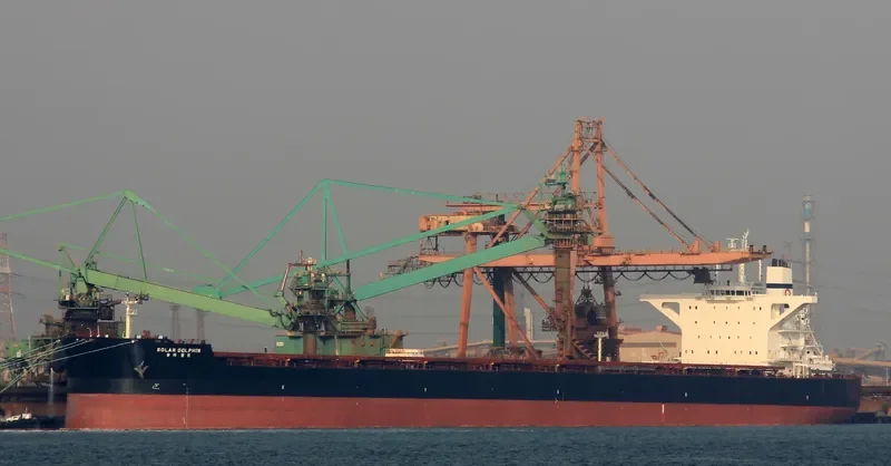 SOLAR DOLPHIN Bulk Carrier IMO 9700184 photo 3