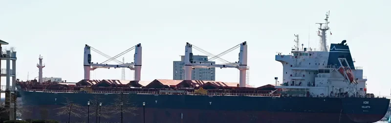 ARCH.MICHAEL Bulk Carrier IMO 9700196 photo 4