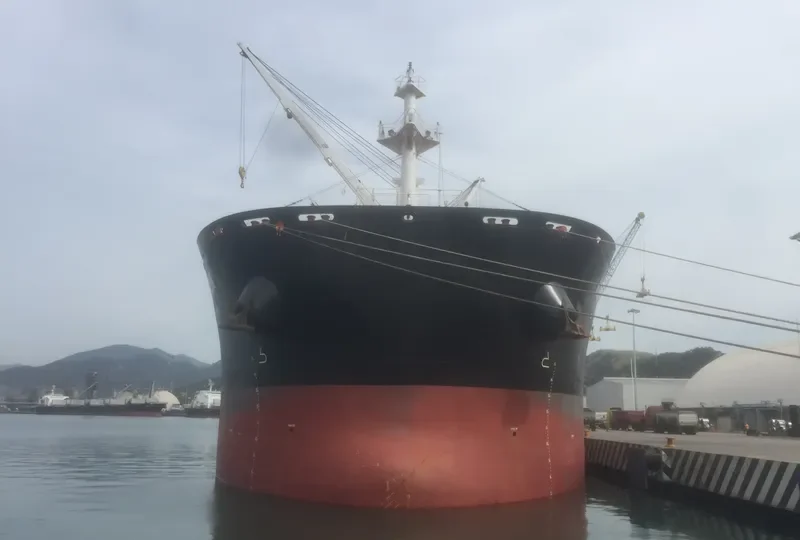 ARCH.MICHAEL Bulk Carrier IMO 9700196 photo 7