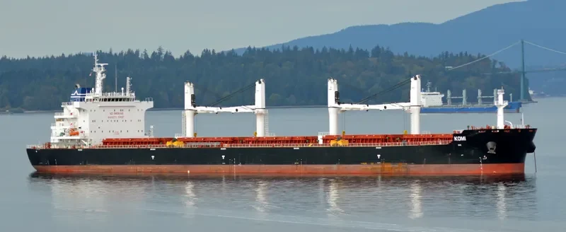 ARCH.MICHAEL Bulk Carrier IMO 9700196 photo 9