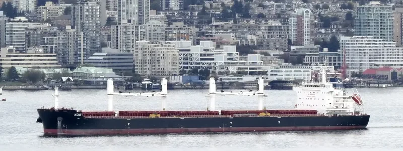 ARCH.MICHAEL Bulk Carrier IMO 9700196 photo 10
