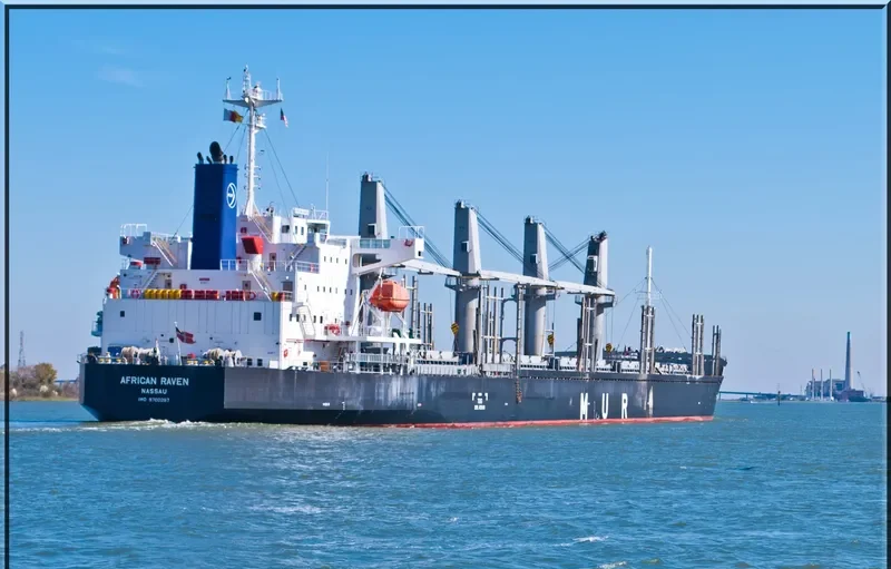 AFRICAN RAVEN General Cargo IMO 9700287