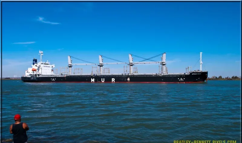 AFRICAN RAVEN General Cargo IMO 9700287 photo 2