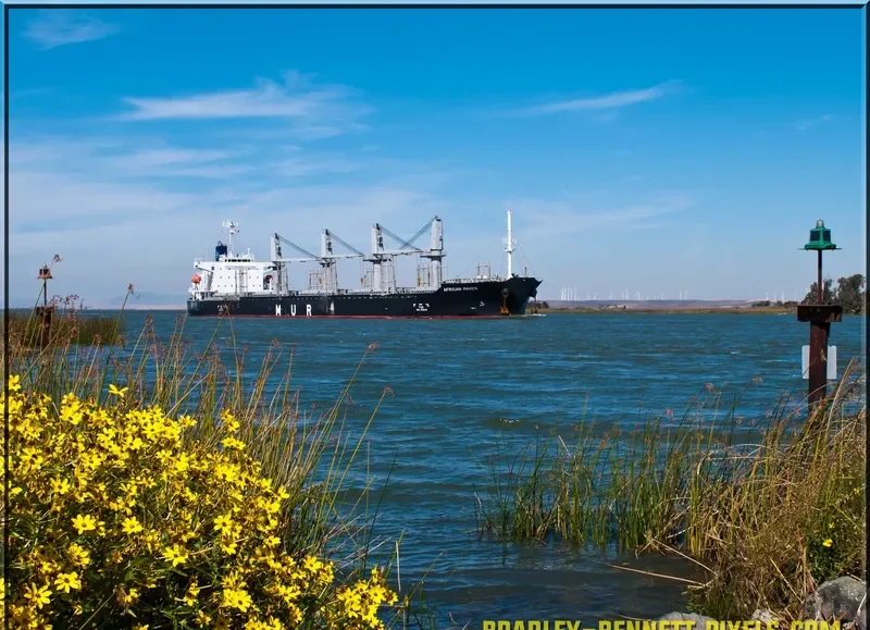 AFRICAN RAVEN General Cargo IMO 9700287 photo 3