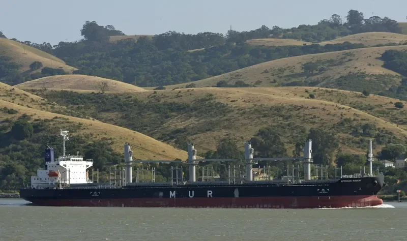 AFRICAN RAVEN General Cargo IMO 9700287 photo 4