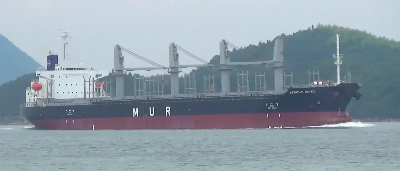 AFRICAN RAVEN General Cargo IMO 9700287 photo 5