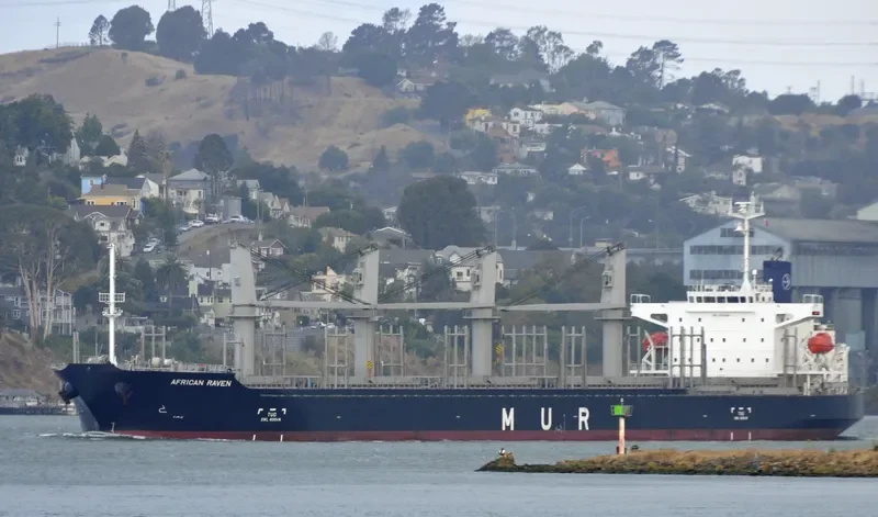AFRICAN RAVEN General Cargo IMO 9700287 photo 7