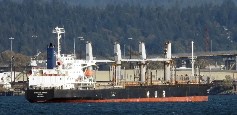 AFRICAN RAVEN General Cargo IMO 9700287 photo 8