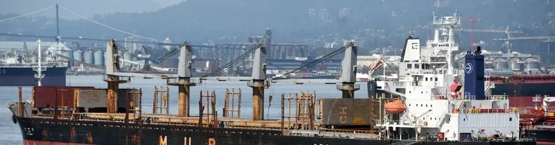 AFRICAN RAVEN General Cargo IMO 9700287 photo 10