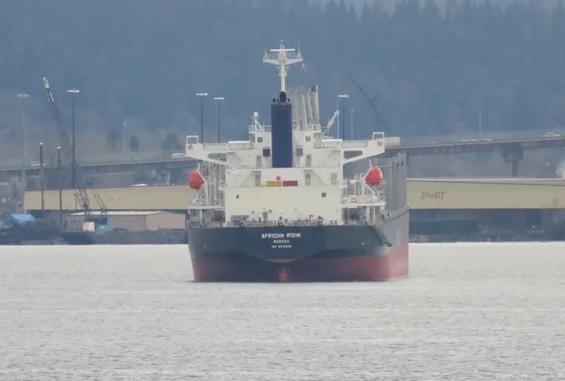 AFRICAN ROOK General Cargo IMO 9700299 photo 2