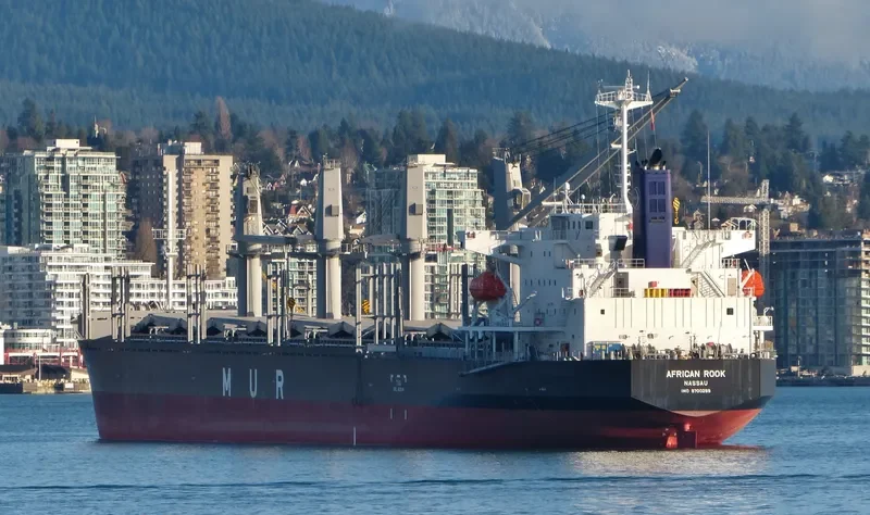 AFRICAN ROOK General Cargo IMO 9700299 photo 5