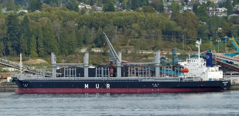 AFRICAN ROOK General Cargo IMO 9700299 photo 6