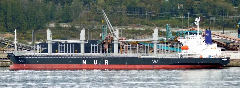 AFRICAN ROOK General Cargo IMO 9700299 photo 7