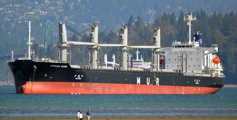 AFRICAN ROOK General Cargo IMO 9700299 photo 8