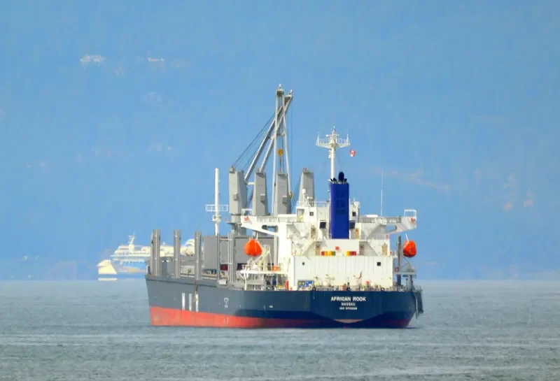 AFRICAN ROOK General Cargo IMO 9700299 photo 9