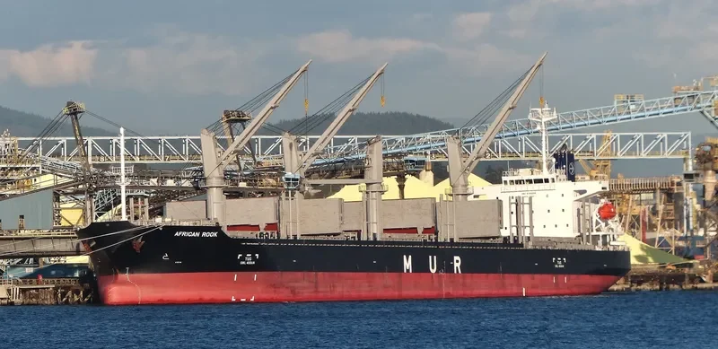 AFRICAN ROOK General Cargo IMO 9700299 photo 10
