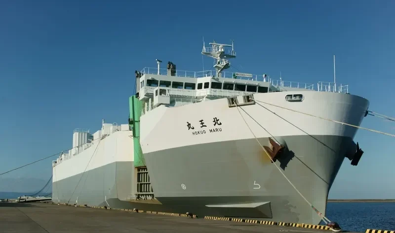 HOKUO MARU General Cargo IMO 9700304