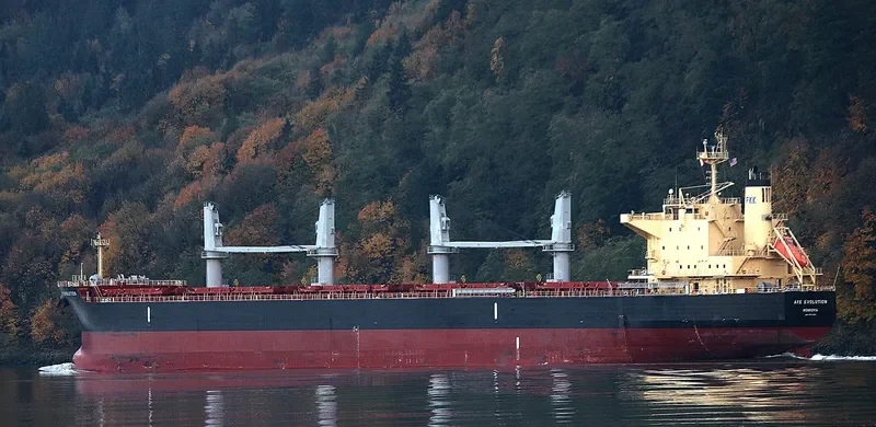 AYE EVOLUTION Bulk Carrier IMO 9700354