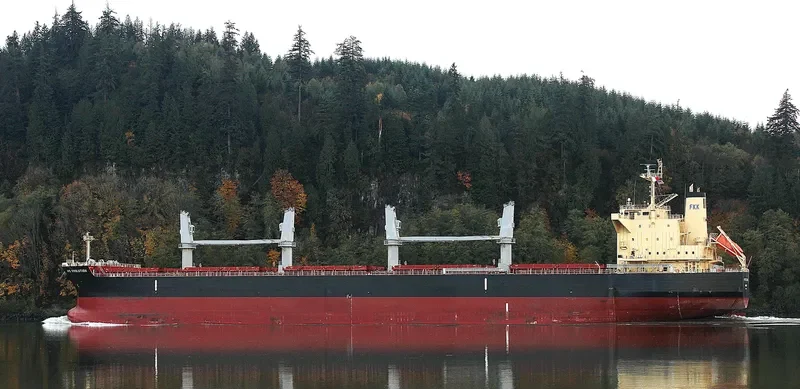 AYE EVOLUTION Bulk Carrier IMO 9700354 photo 2
