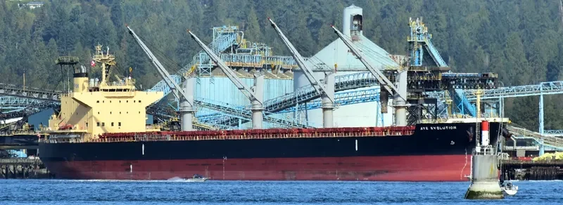 AYE EVOLUTION Bulk Carrier IMO 9700354 photo 3