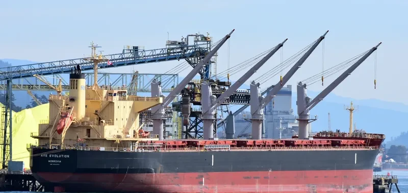 AYE EVOLUTION Bulk Carrier IMO 9700354 photo 4
