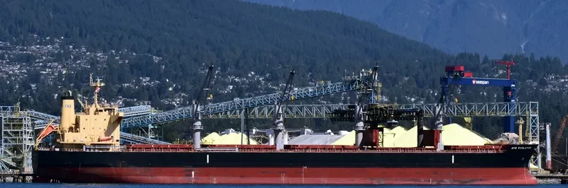 AYE EVOLUTION Bulk Carrier IMO 9700354 photo 5