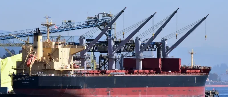 AYE EVOLUTION Bulk Carrier IMO 9700354 photo 6