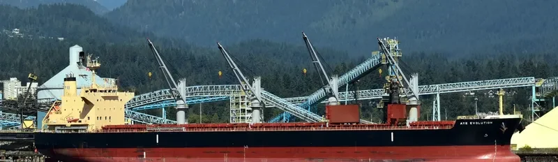 AYE EVOLUTION Bulk Carrier IMO 9700354 photo 7