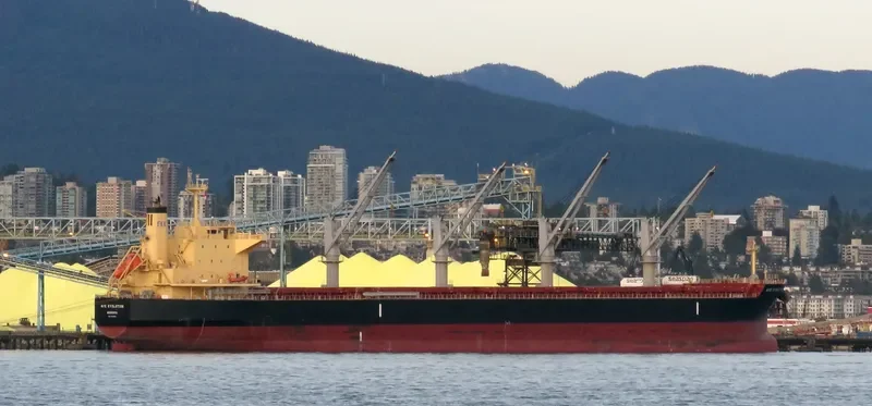 AYE EVOLUTION Bulk Carrier IMO 9700354 photo 10