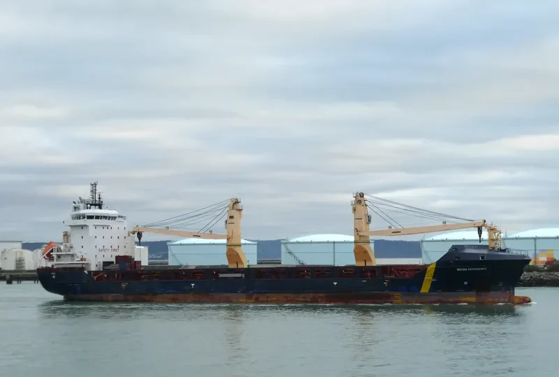 MIENA DESGAGNES General Cargo IMO 9700380 photo 7