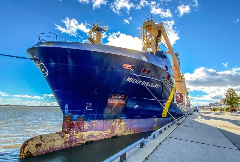 MIENA DESGAGNES General Cargo IMO 9700380 photo 9
