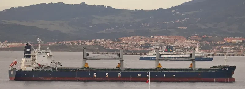 ZEYNO Bulk Carrier IMO 9700421
