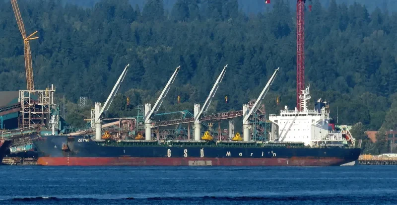 ZEYNO Bulk Carrier IMO 9700421 photo 2