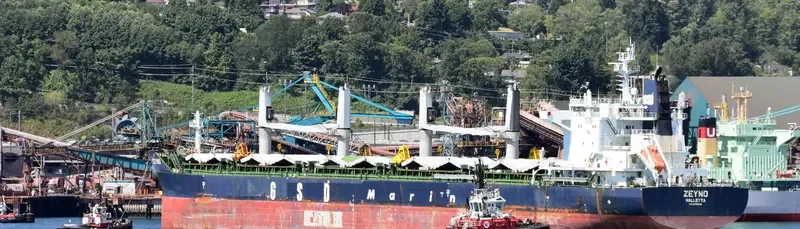 ZEYNO Bulk Carrier IMO 9700421 photo 3