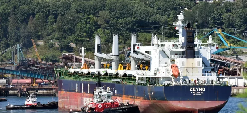 ZEYNO Bulk Carrier IMO 9700421 photo 4