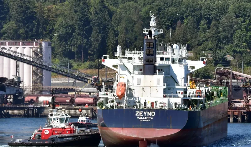 ZEYNO Bulk Carrier IMO 9700421 photo 5