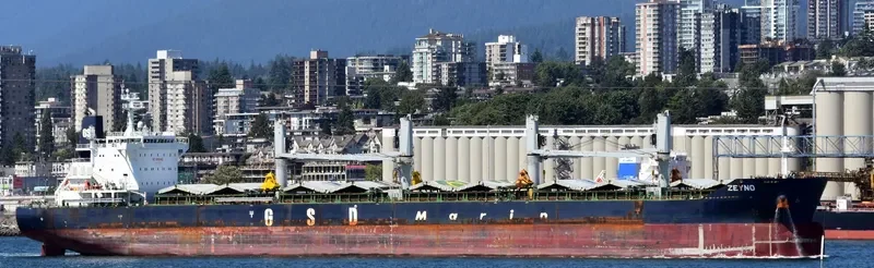 ZEYNO Bulk Carrier IMO 9700421 photo 6