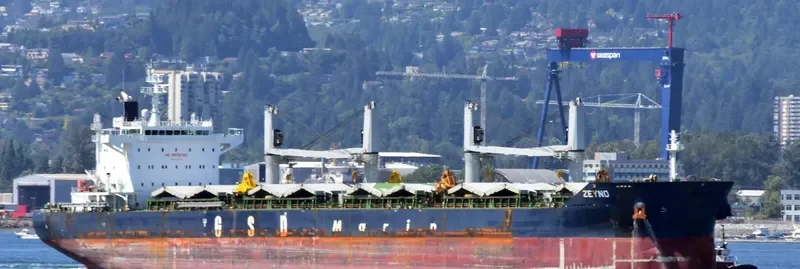 ZEYNO Bulk Carrier IMO 9700421 photo 7