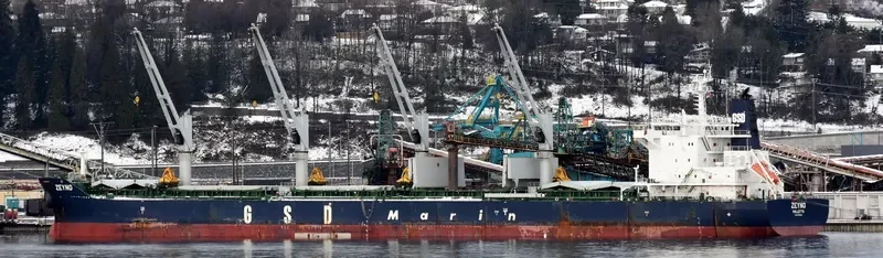 ZEYNO Bulk Carrier IMO 9700421 photo 8