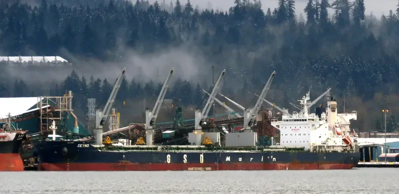 ZEYNO Bulk Carrier IMO 9700421 photo 9