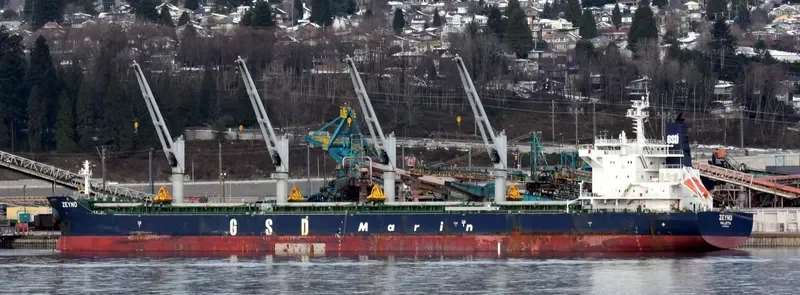 ZEYNO Bulk Carrier IMO 9700421 photo 10