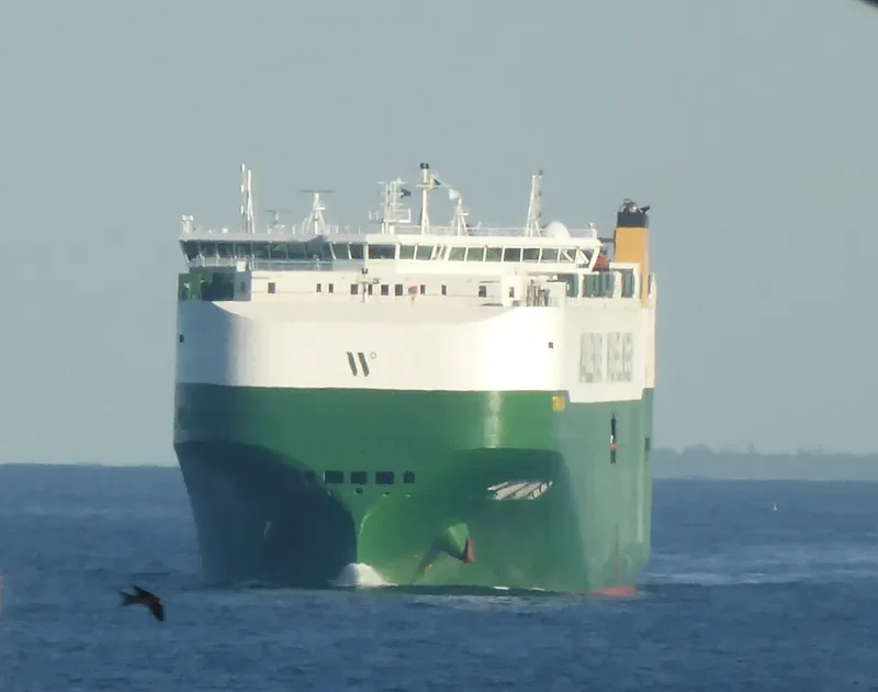 TRAVIATA General Cargo IMO 9700524 photo 10