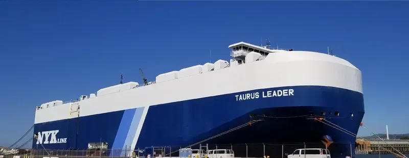 TAURUS LEADER General Cargo IMO 9700550 photo 8