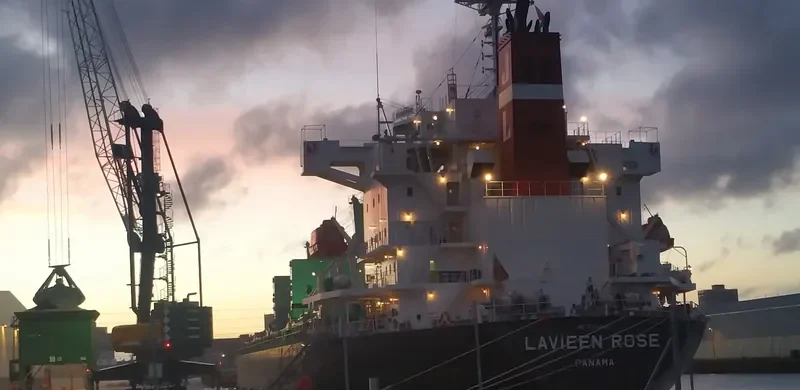 LAVIEEN ROSE Bulk Carrier IMO 9700562