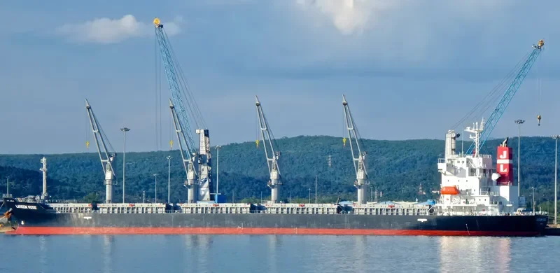 LAVIEEN ROSE Bulk Carrier IMO 9700562 photo 2