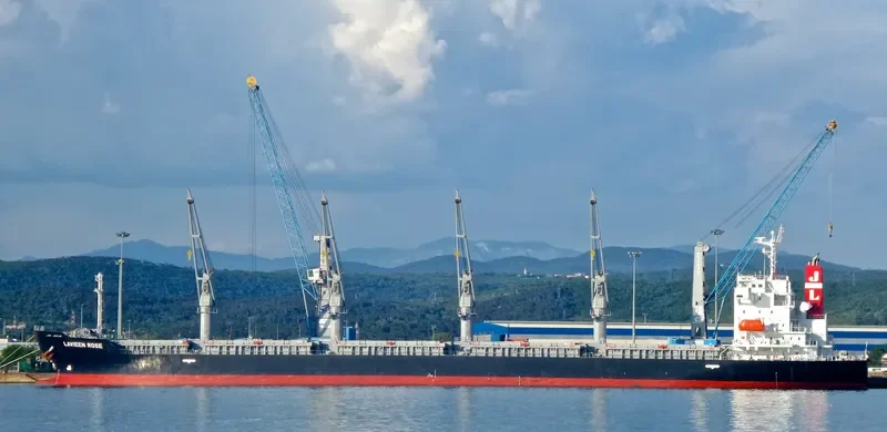 LAVIEEN ROSE Bulk Carrier IMO 9700562 photo 3