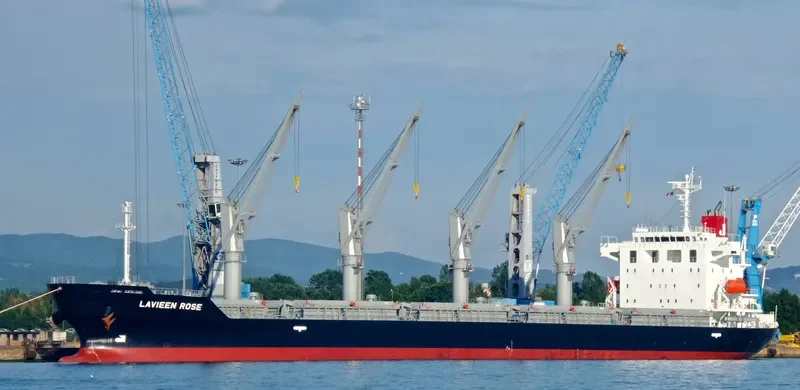 LAVIEEN ROSE Bulk Carrier IMO 9700562 photo 4
