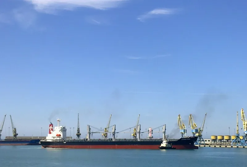 LAVIEEN ROSE Bulk Carrier IMO 9700562 photo 5