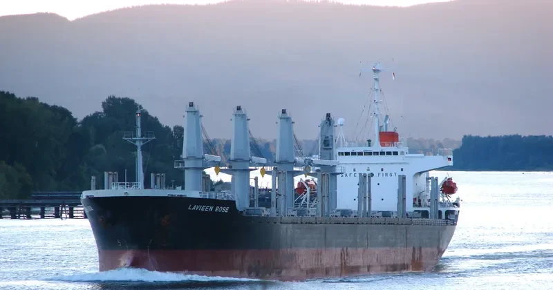 LAVIEEN ROSE Bulk Carrier IMO 9700562 photo 6