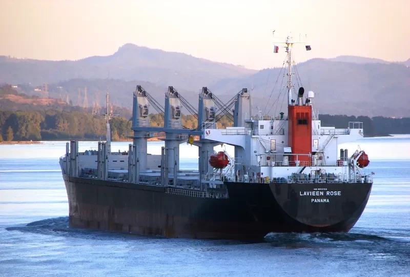 LAVIEEN ROSE Bulk Carrier IMO 9700562 photo 7